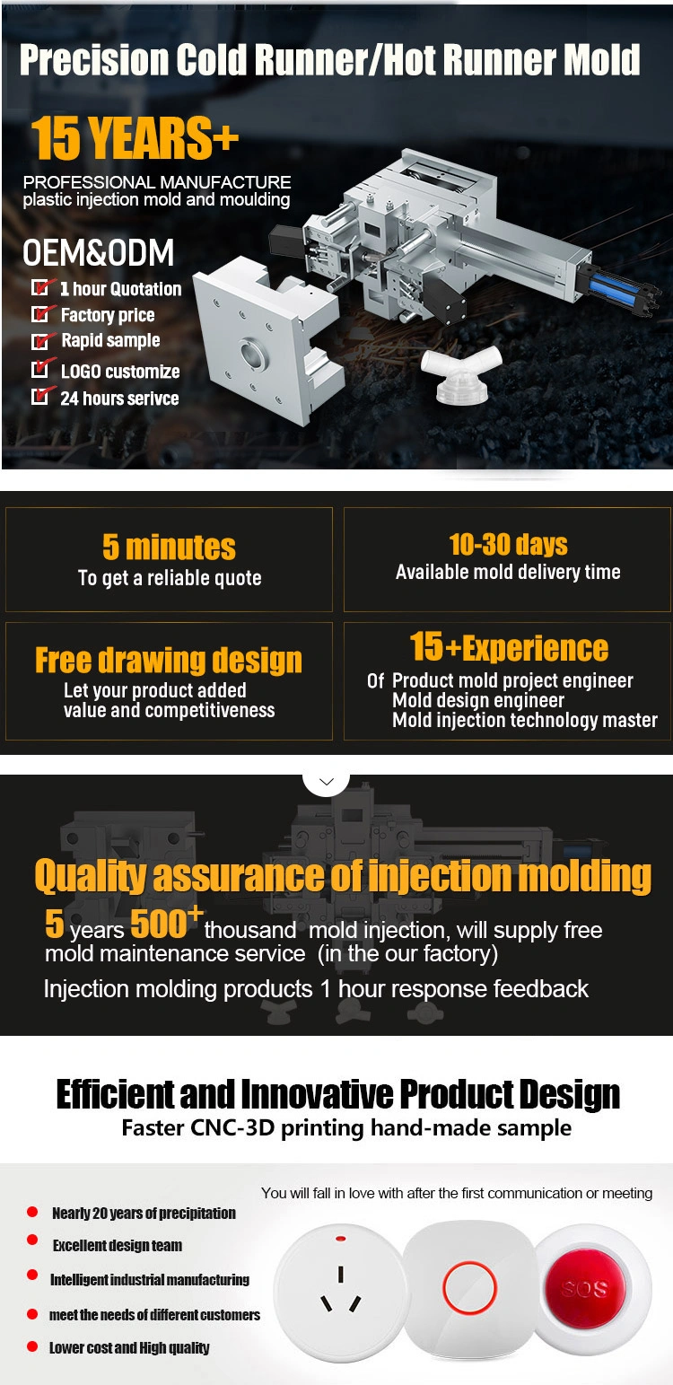 Plastic Mold Injection Molding Service
